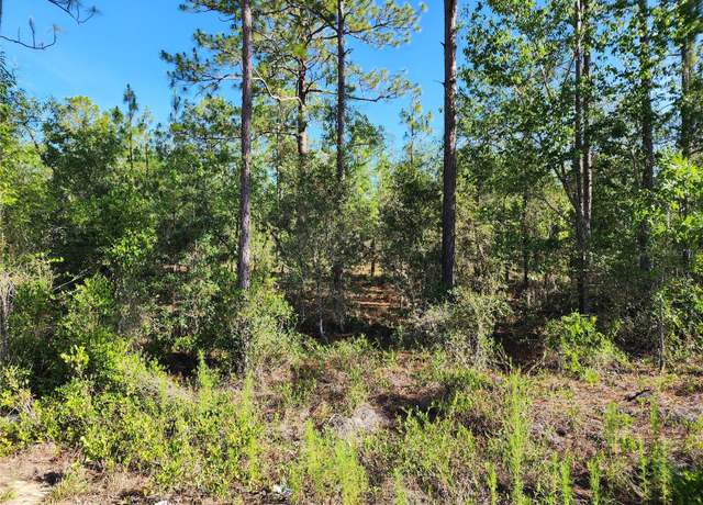 Property at SW Edgewater, Dunnellon, FL 34431