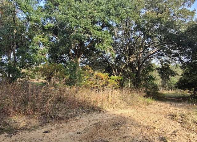 Property at 17105 SE 252nd Ave, Umatilla, FL 32784