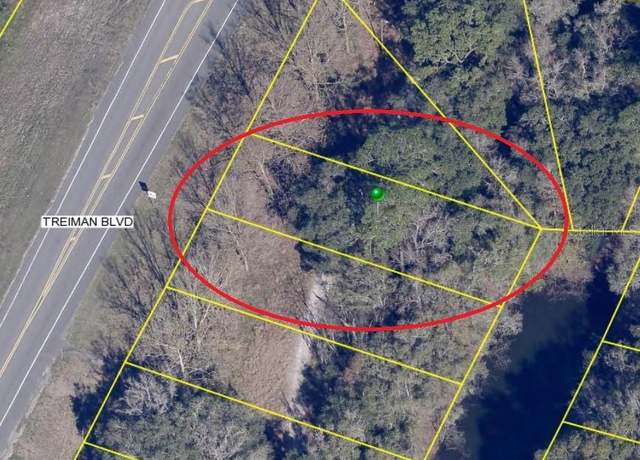 Property at 0 Treiman Blvd Lot 2-6, Dade City, FL 33523