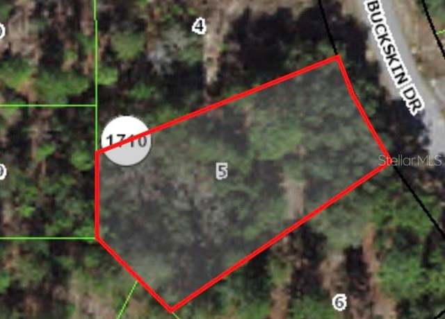 Property at 6664 N Buckskin Dr, Citrus Springs, FL 34434