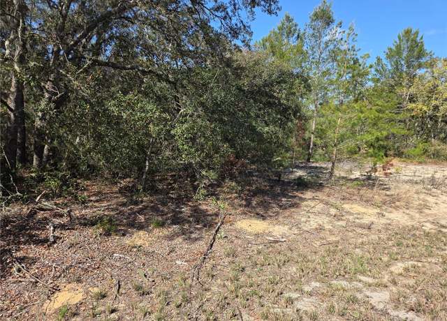 Property at Fisher Trace Run, Ocklawaha, FL 32179