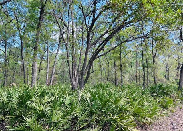 Property at 0 NW 30th St, Chiefland, FL 32626