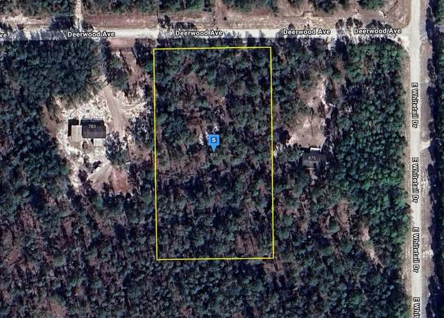 Property at 835 Deerwood Ave, Perry, FL 32348