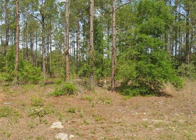 Property at 10940 N Letterwood Way, Dunnellon, FL 34434