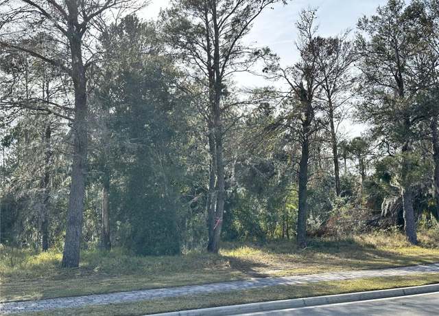 Property at 16015 Pendio Dr, Bella Collina, FL 34756