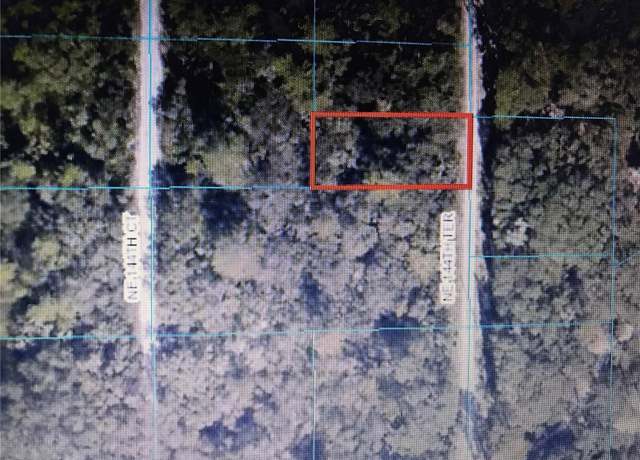 Property at TBA NE 144th Ter, Fort Mc Coy, FL 32134