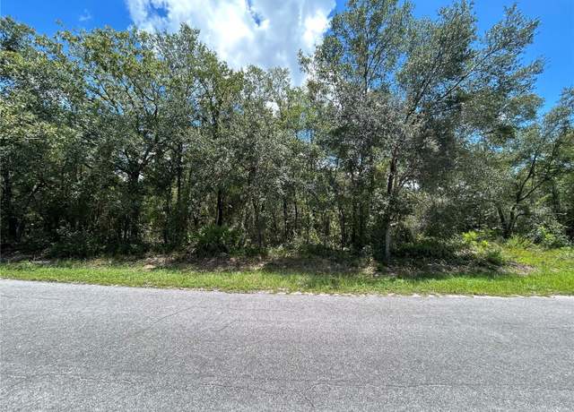 Property at 0 Malauka Radl, Ocklawaha, FL 32179