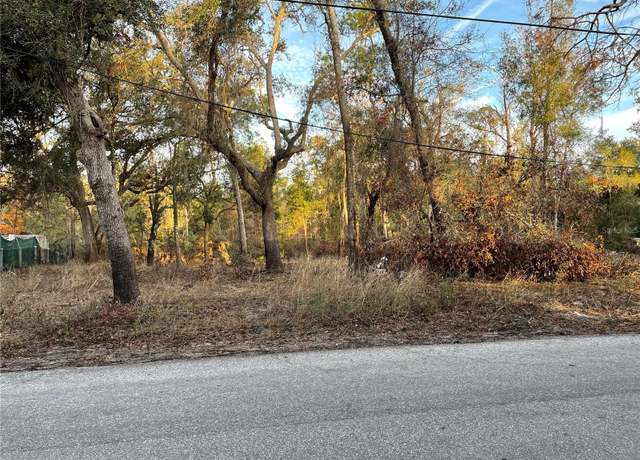Property at 3474 Riverdale Dr, Dade City, FL 33523
