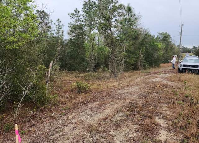 Property at lot 30 SW Ivy Pl, Dunnellon, FL 34431
