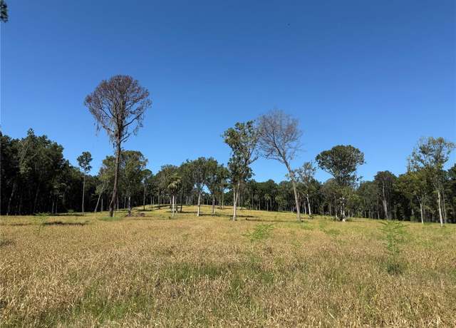 Property at 62ac NW 193rd St, Micanopy, FL 32667