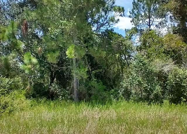Property at 1322 Tallahassee Ct, Kissimmee, FL 34759