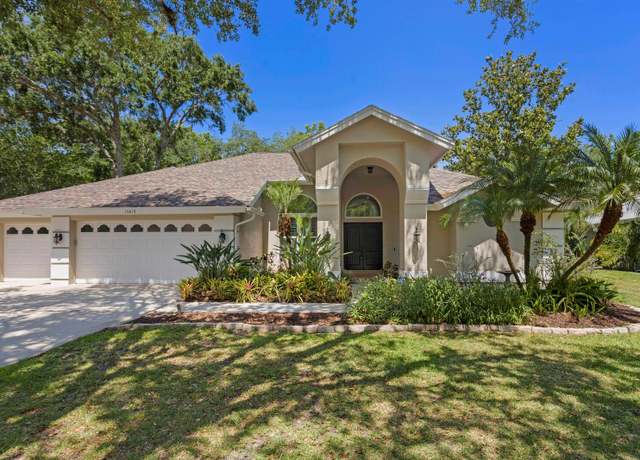 Property at 15819 Dawson Ridge Dr, Tampa, FL 33647, 4 beds, 3 baths
