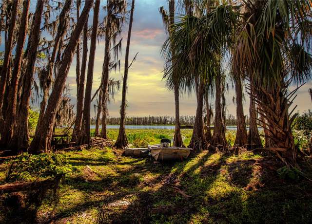 Property at 1 Alderman Turner Rd, Wimauma, FL 33598