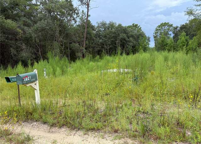 Property at 117 Sumac St, Interlachen, FL 32148