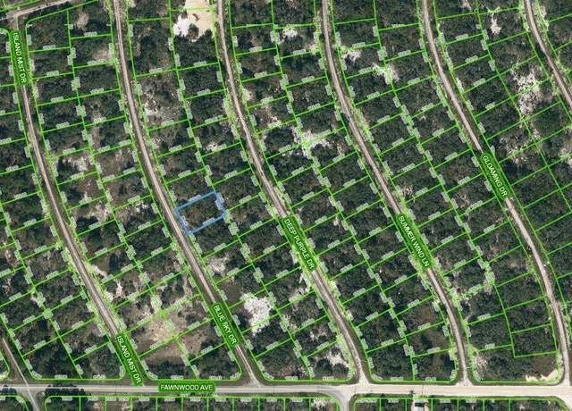 Property at 213 Blue Sky Dr, Lake Placid, FL 33852