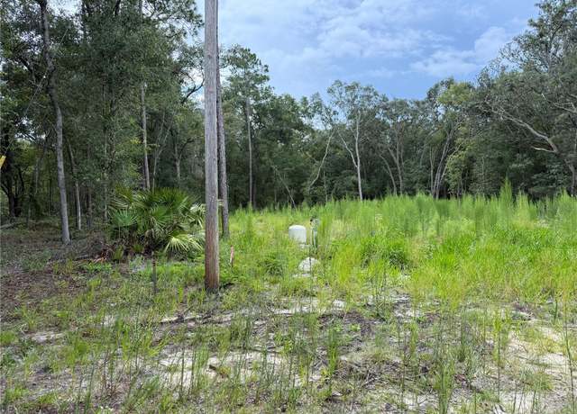 Property at 106 Jackson Ave, Interlachen, FL 32148