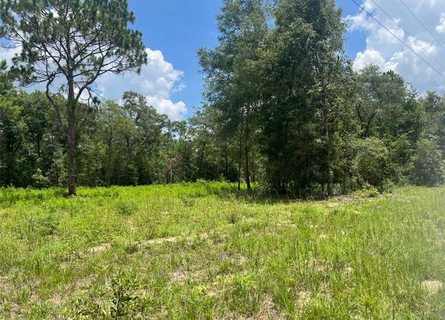 Property at TBD NE 78th Ln, Bronson, FL 32621