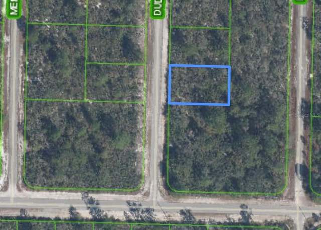 Property at 1105 Ramiro St, Lake Placid, FL 33852