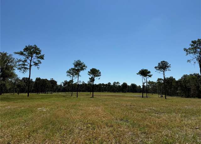 Property at 84ac NW 193rd St, Micanopy, FL 32667