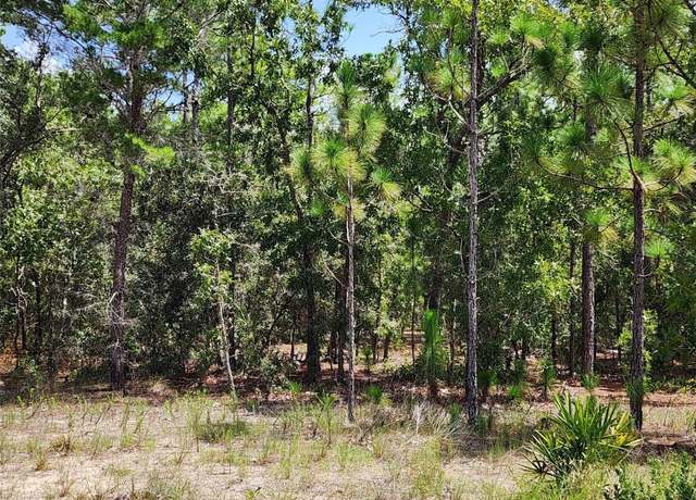 Property at 21 Whitewood St, Homosassa, FL 34446