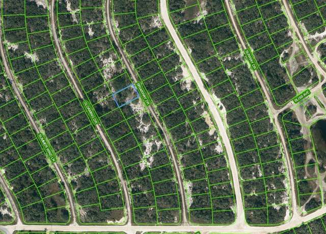 Property at 218 Briarway Dr, Lake Placid, FL 33852