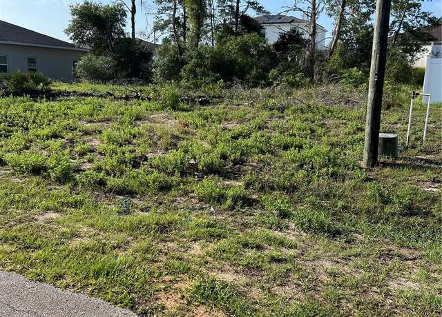 Property at 317 Elderberry Ct, Poinciana, FL 34759