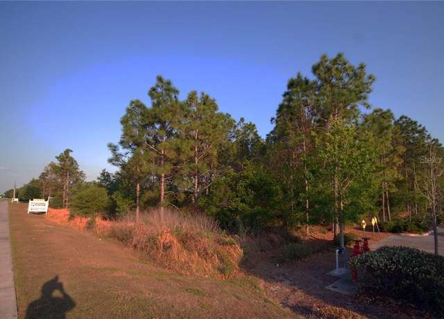 Property at 30150 Overpass Rd, Wesley Chapel, FL 33545