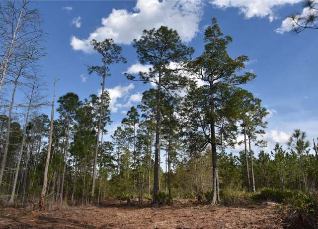 Property at Off Sun Garden Rd, Palatka, FL 32177