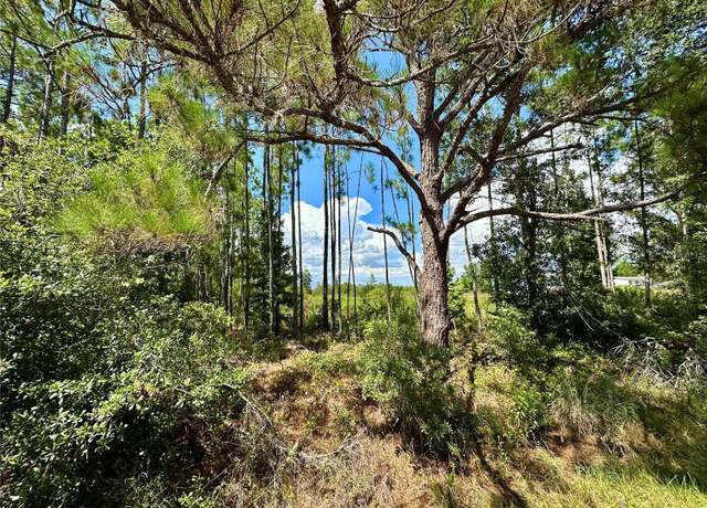 Property at Oil Well Rd, Clermont, FL 34714