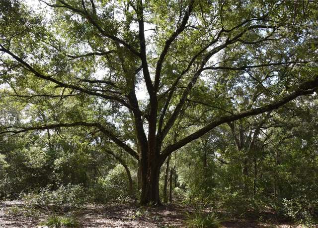 Property at Off SE 30th St, Inglis, FL 34449