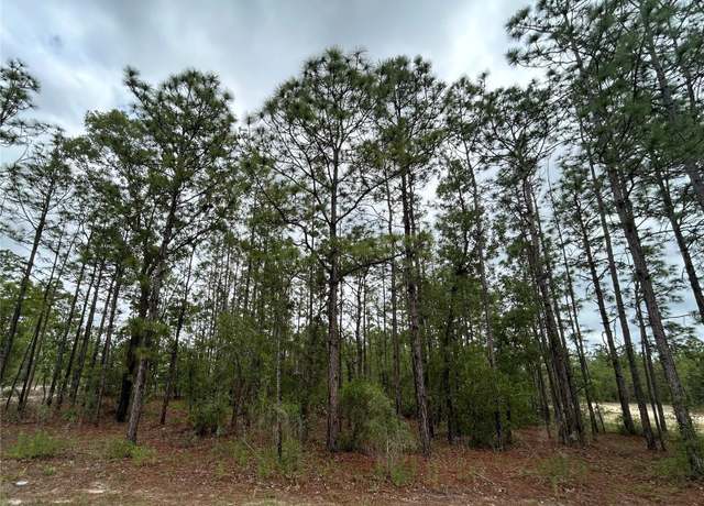 Property at 0 Mellon Rd, Weeki Wachee, FL 34614