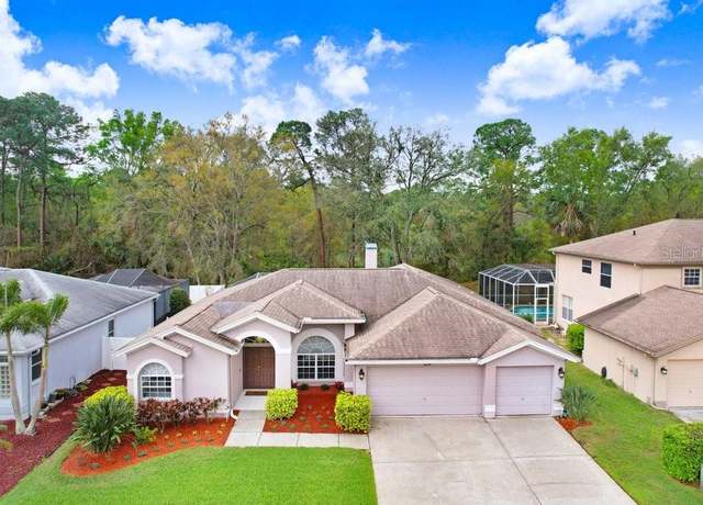 Property at 10014 Vista Pointe Dr, Tampa, FL 33635, 4 beds, 3 baths