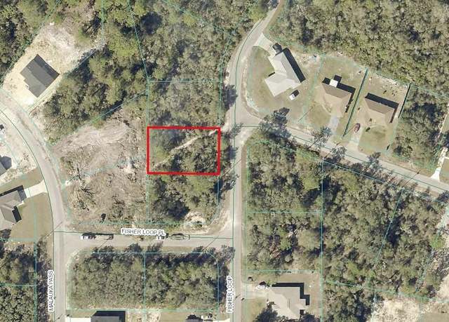 Property at Fisher Loop, Ocklawaha, FL 32179