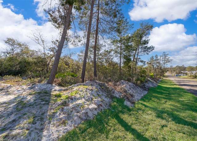 Property at Waldor Ave, Orange City, FL 32763