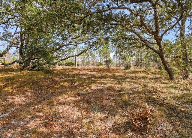 Property at Seneca Rd, Weeki Wachee, FL 34614