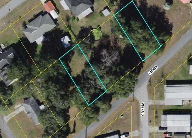 Property at Lot 16 & 19 CR 440, Lake Panasoffkee, FL 33538