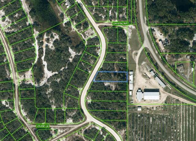 Property at 217 Lakeland Dr, Lake Placid, FL 33852