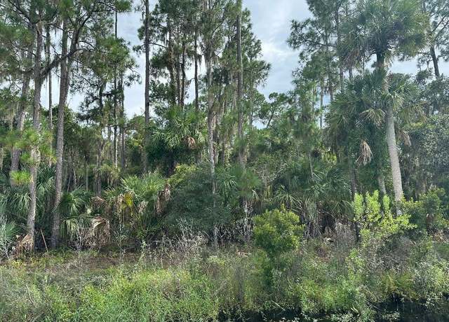 Property at Lake Harney Cir, Geneva, FL 32732