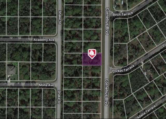 Property at 1323 Cornelius Blvd, Port Charlotte, FL 33953