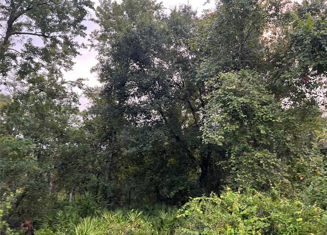 Property at TBD Gilbert St, New Port Richey, FL 34654