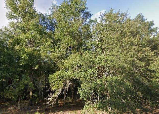 Property at 262 Cypress St, Interlachen, FL 32148