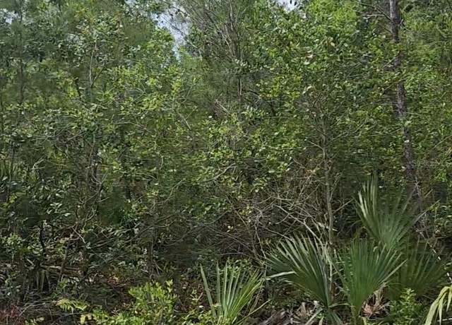 Property at 00 Fisher Trl, Ocklawaha, FL 32179