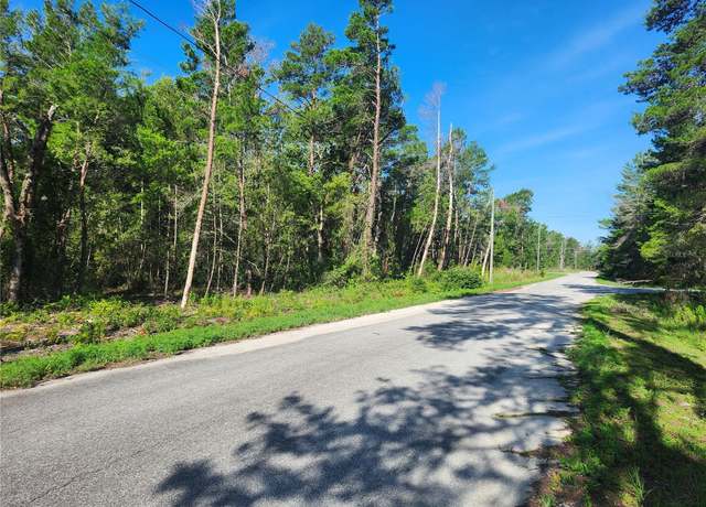 Property at 00 Fisher Trl, Ocklawaha, FL 32179