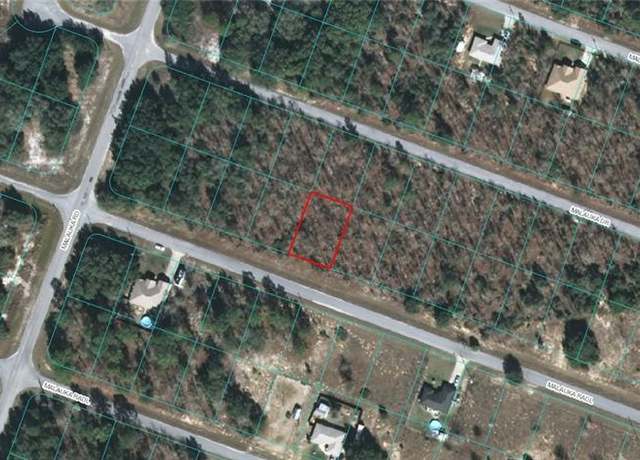 Property at 00 Malauka Radl, Ocklawaha, FL 32179