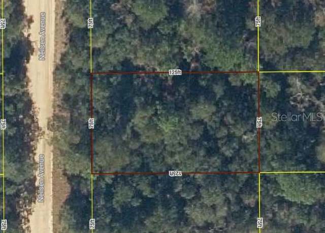 Property at Lot 17 Neilsen Ave, Interlachen, FL 32148