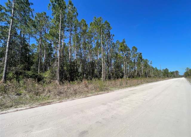 Property at Chesser Hammock Rd, Pierson, FL 32180