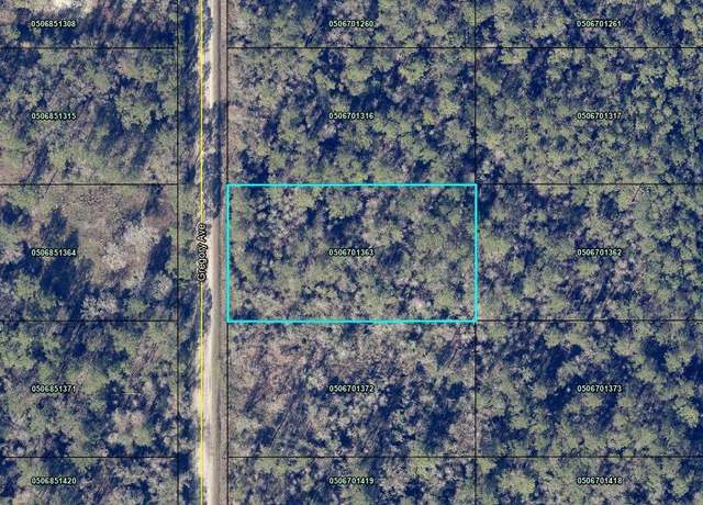Property at Gregory Ave, Hastings, FL 32145