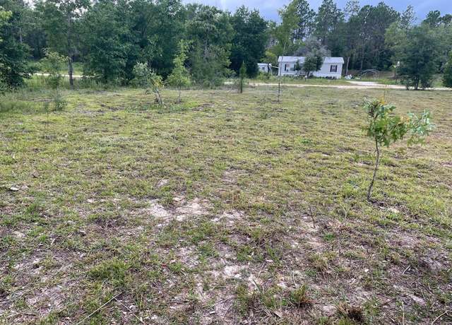 Property at NE 135th Ct, Williston, FL 32696