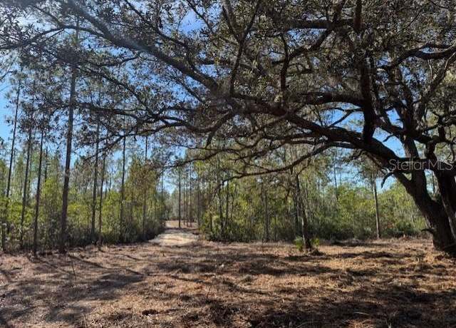 Property at 11901 NE 150th Ave Rd, Fort Mc Coy, FL 32134