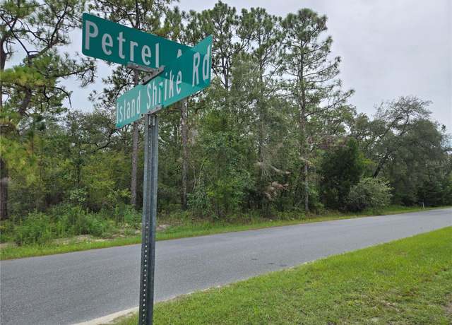 Property at 0 Petrel Ave, Weeki Wachee, FL 34614